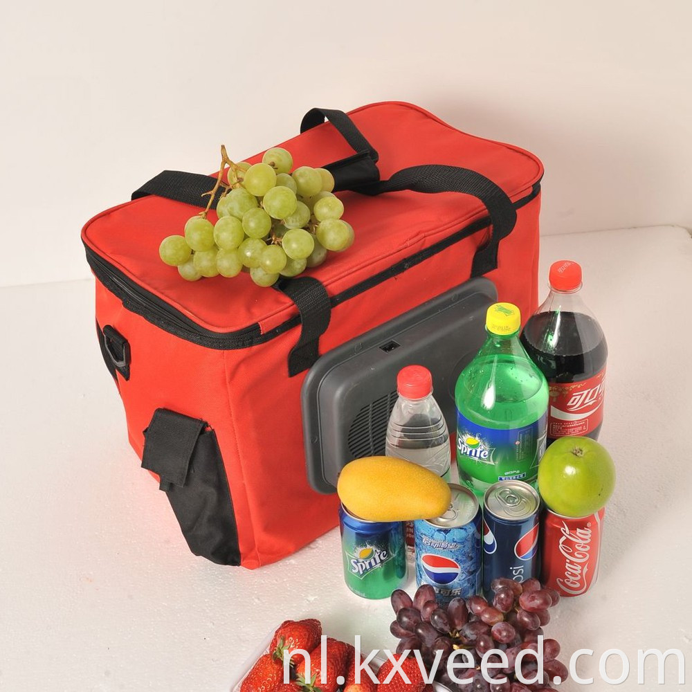 12V plug 24l draagbare reis elektrische picknickkoeler tas voor auto